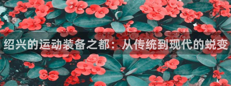 zoty中欧体育官方正版app集团logo：绍兴的运