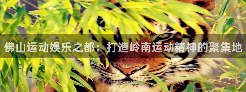 zoty中欧体育官网下载招商电话地址是多少：佛山运动
