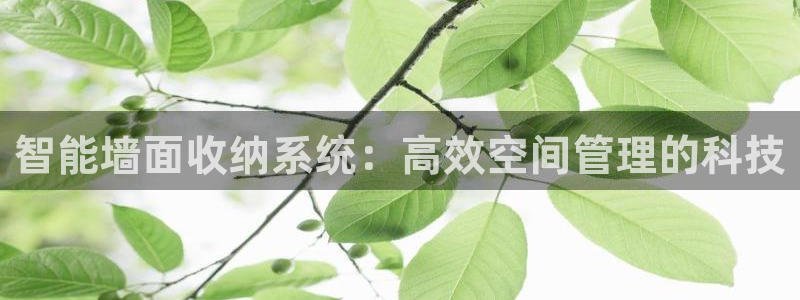 zoty中欧体育官方正版app娱乐首页官网下载：智能墙面收纳