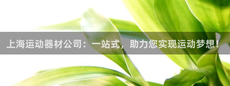注册zoty中欧体育官方正版app：上海运动器材公司：一站式