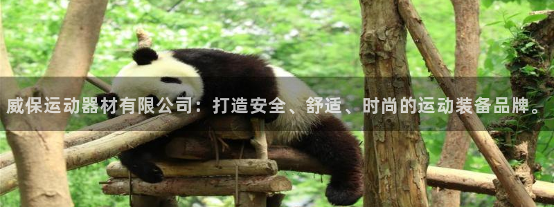 zoty中欧体育官方正版app娱乐首页官网下载：威保运动器材