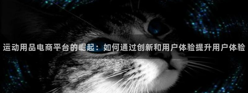 zoty中欧体育官网下载招商电话号码查询：运动用品电商平台的
