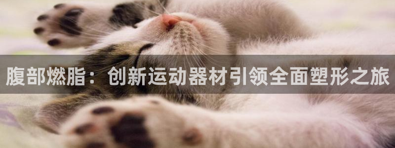 zoty中欧体育官网下载招商电话地址是多少：腹部燃脂：创新运