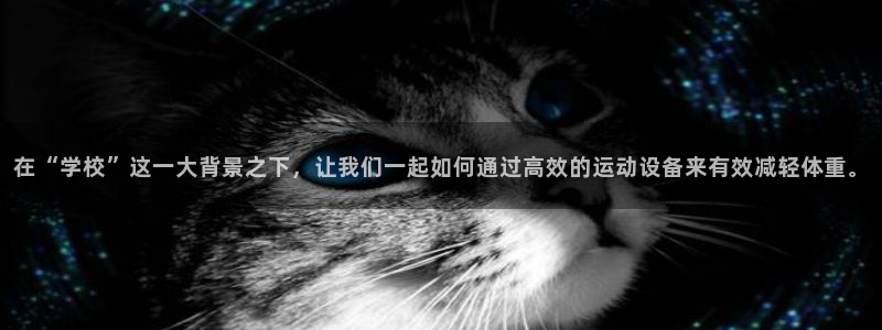 zoty中欧体育官网下载平台APP