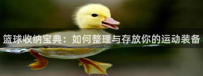 海南zoty中欧体育官网下载